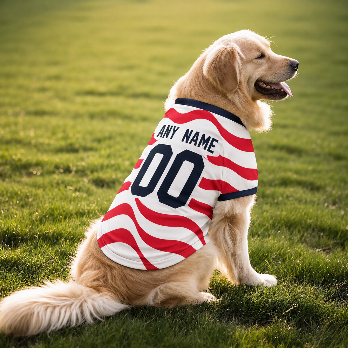 USA Dog Tshirt Pet Clothes Jersey Style Custom Name and Number Pet Clothes Gifts