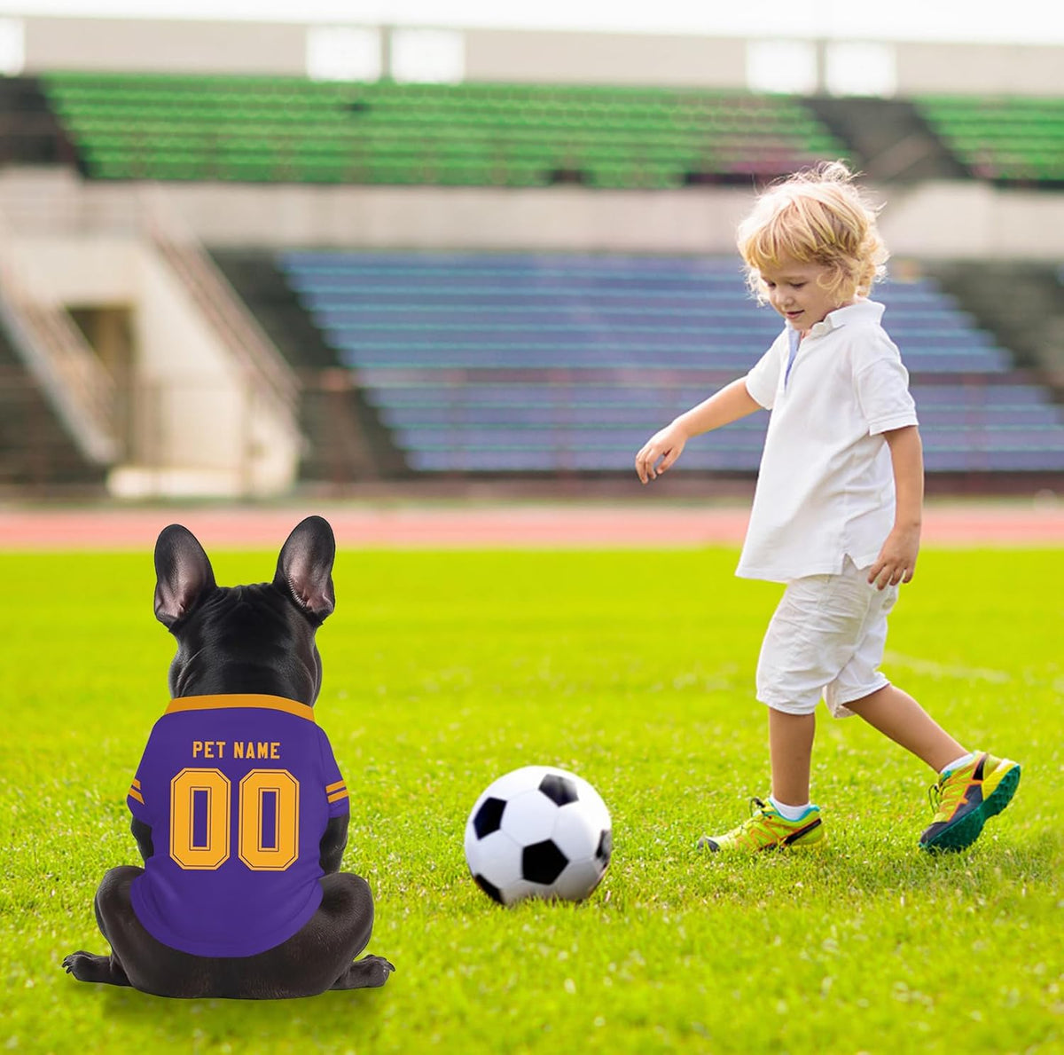 Personalized Dog Sweatshirts, Custom Jersey Shirts for Pets with Name/Number/Logo, Lightweight Pet Clothing for Small and Medium Dogs