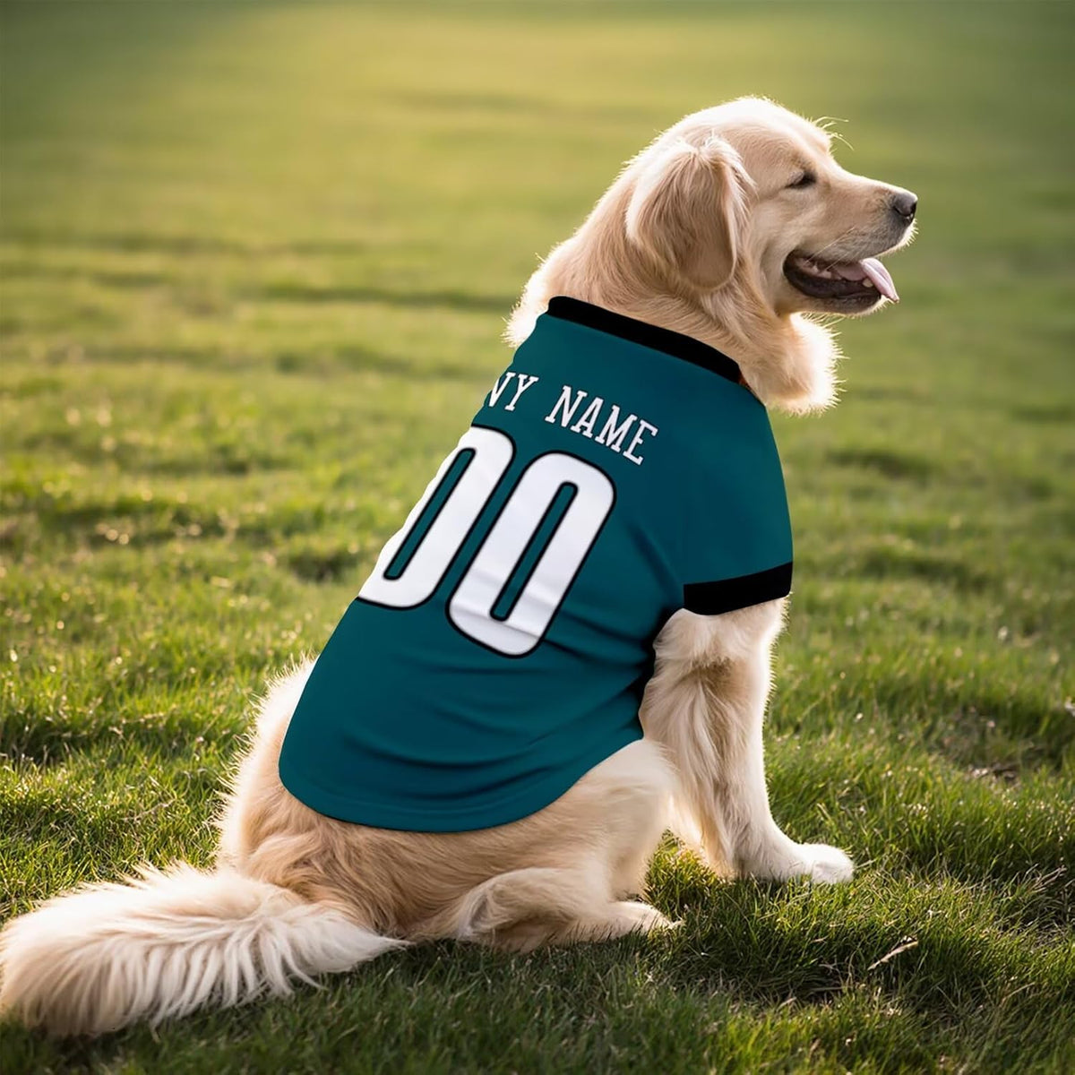 Philadelphia Dog T-Shirt Jersey Style Pet Clothes Custom Name and Number Gifts 71ByPxz8NPL._AC_SL1500.jpg