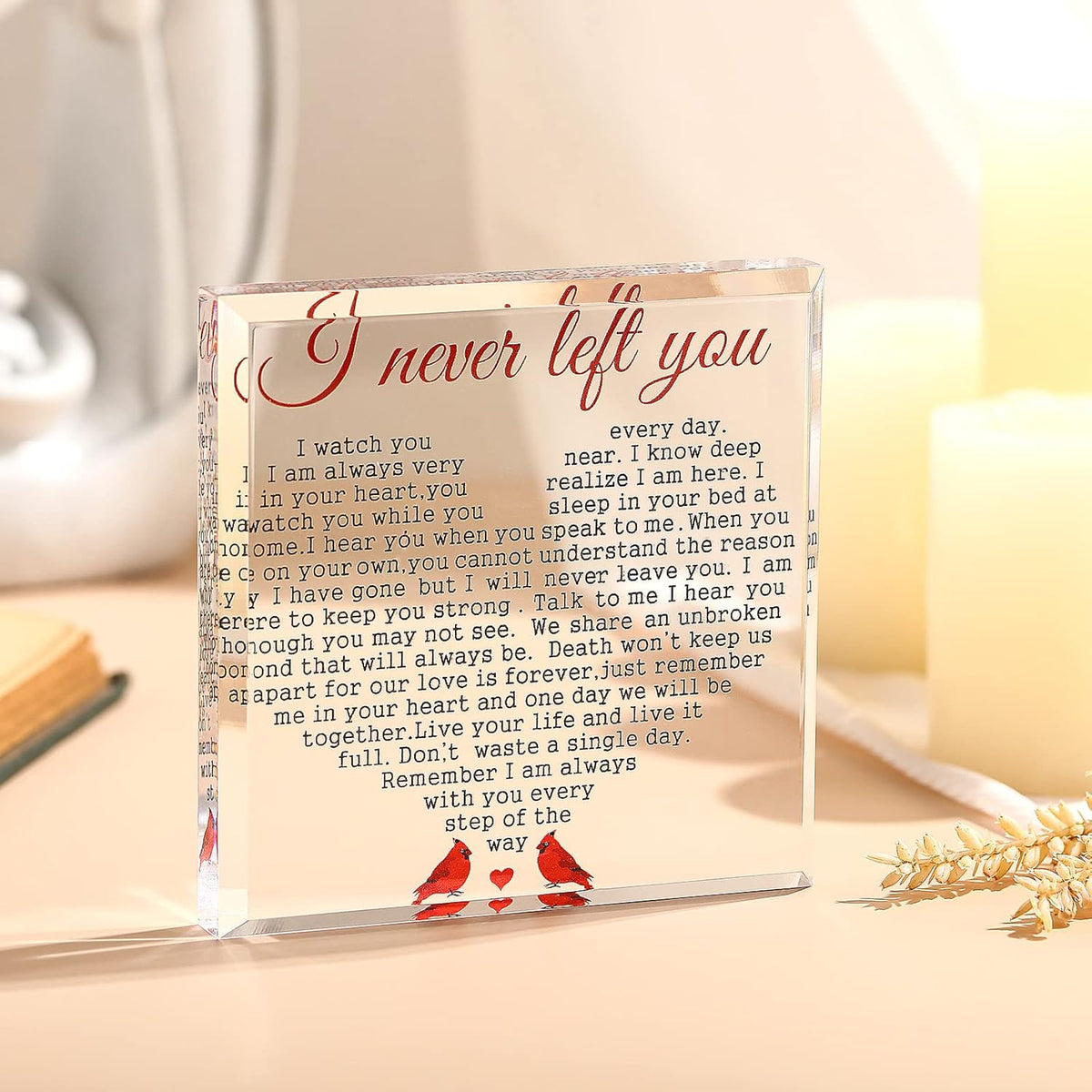 Red Cardinal Acrylic Sympathy Gifts I Never Left You Memorial Bereavement Gifts with Remembrance Condolence for Loss of Loved One Father Mother Grieving Keepsake Paperweight