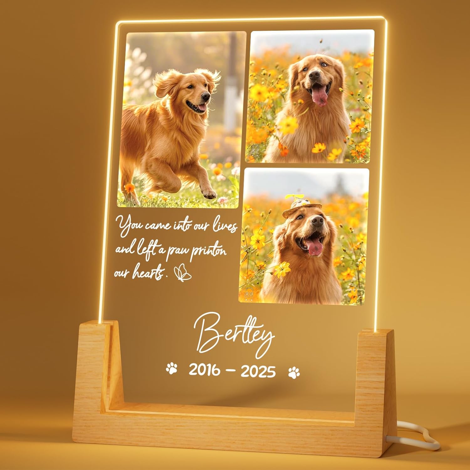 Dog Memorial Gifts for Loss of Dog Pet Memorial Gifts for Dogs Cat Memorial Gifts Custom Pet Memorial Night Light Pet Loss Gifts, Memorial Plaques for Dog Memorial Picture Frame