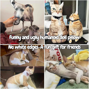 Customized Ugly Pet Pillows, DIY Abstract Personalized Custom Pet Pillow, Funny Cute Custom Cat Dog Pillow, Custom Stuffed Animals of Your Pet, Funny Gifts for Friends