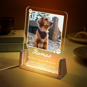 Personalized Pet Memorial LED Night Light, Custom Photo Pet Lover Keepsake, Dog Memorial Sympathy Gift, Personalized Light Up Sign for Dog Lovers, Custom Dogs Photo Gifts for Home Decor