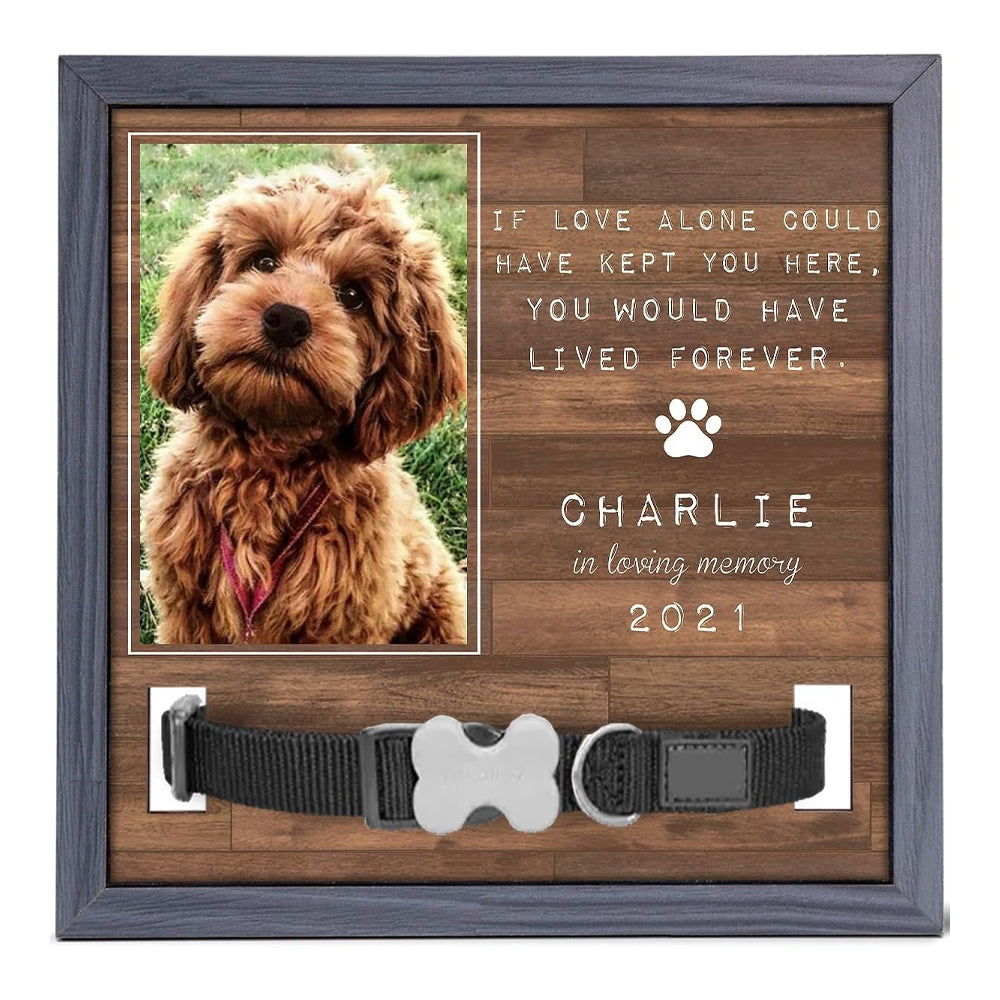 Custom Photo Pet Loss Sign, Collar Frame, Personalized Pet Memorial Sympathy Gifts For Dogs, Cats, Loss Of Dog, Dog Memorial Picture Frame, Pet Loss Sympathy Gift, Pet Loss Gifts