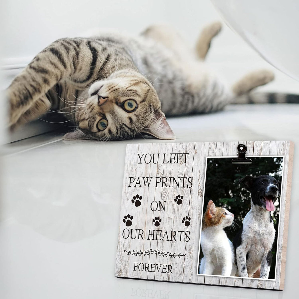 Pet Picture Frame Cat or Dog Frame Custom Photo Clip Frame Memorial Pet Loss Picture Frame Memorial Dog Gift