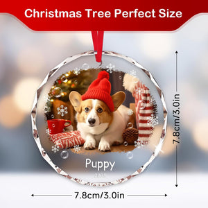Personalized Pet Photo Ornaments, Dog Cat Custom Crystal Ornaments with Pictures, Christmas Hanging Ornament for Fur Baby, Custom Pet Lover Gift for 2025 Holidays