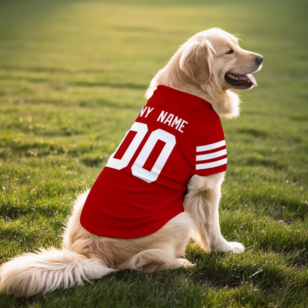 San Francisco Dog T-Shirt Jersey Style Pet Clothes Custom Name and Number Gifts