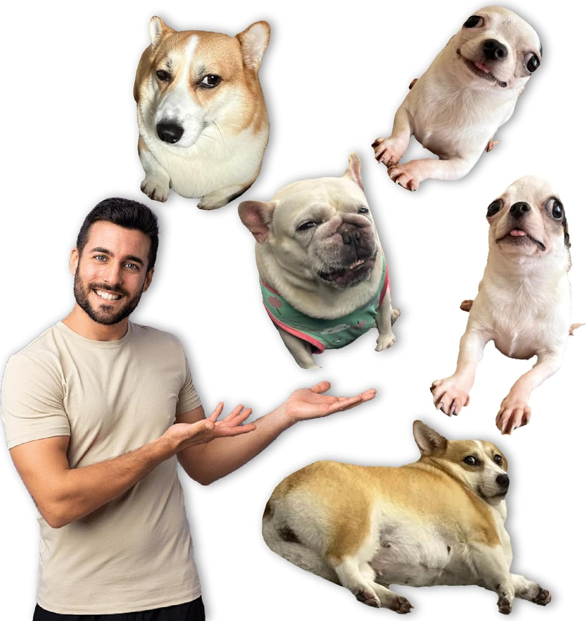 Personalized Cat Dog Pillow Custom Ugly Pet Pillow Ugly Dog Pillow with Your Pet Photo for Family Friends Birthday Gift