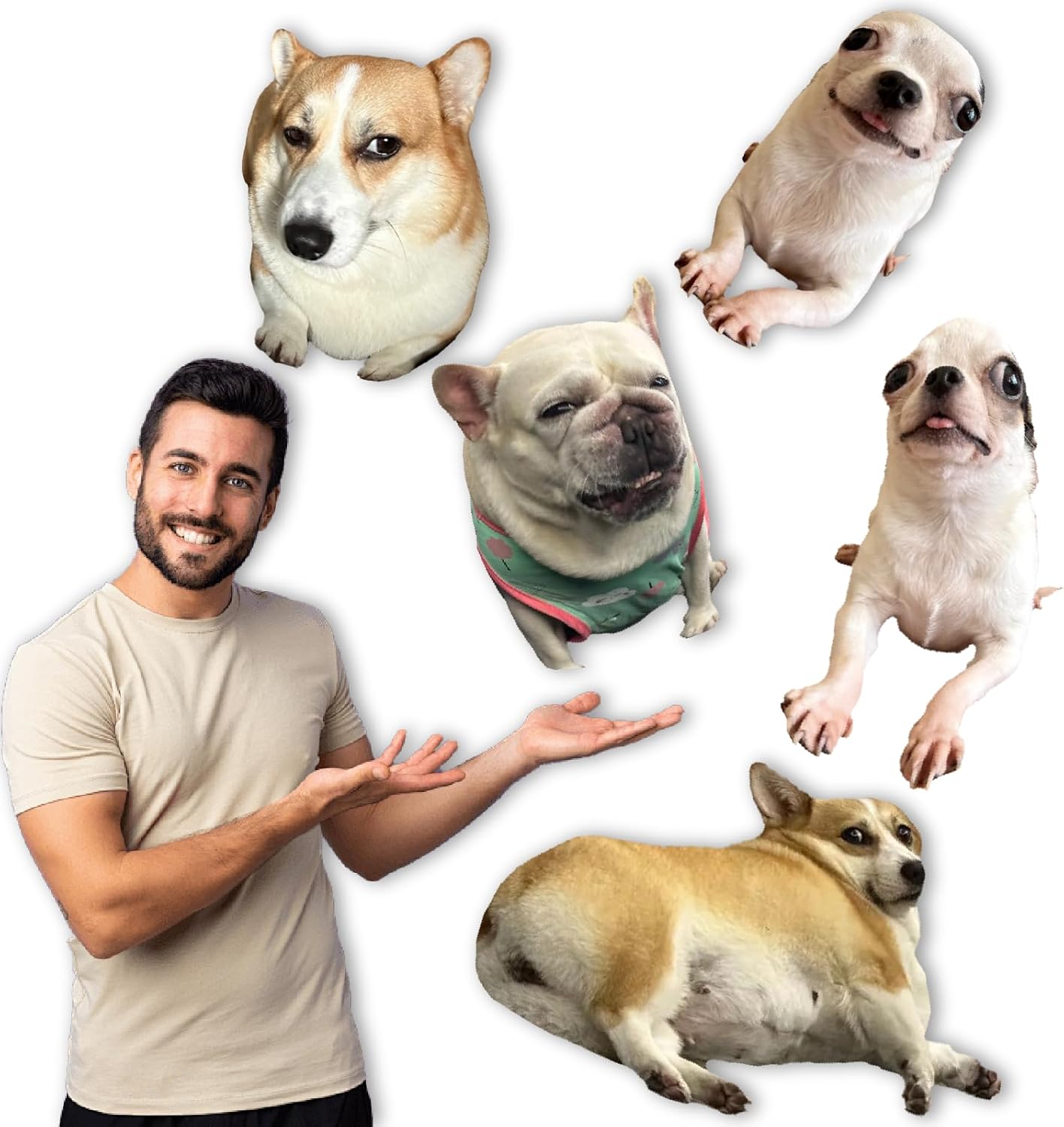 Personalized Cat Dog Pillow Custom Ugly Pet Pillow Ugly Dog Pillow with Your Pet Photo for Family Friends Birthday Gift