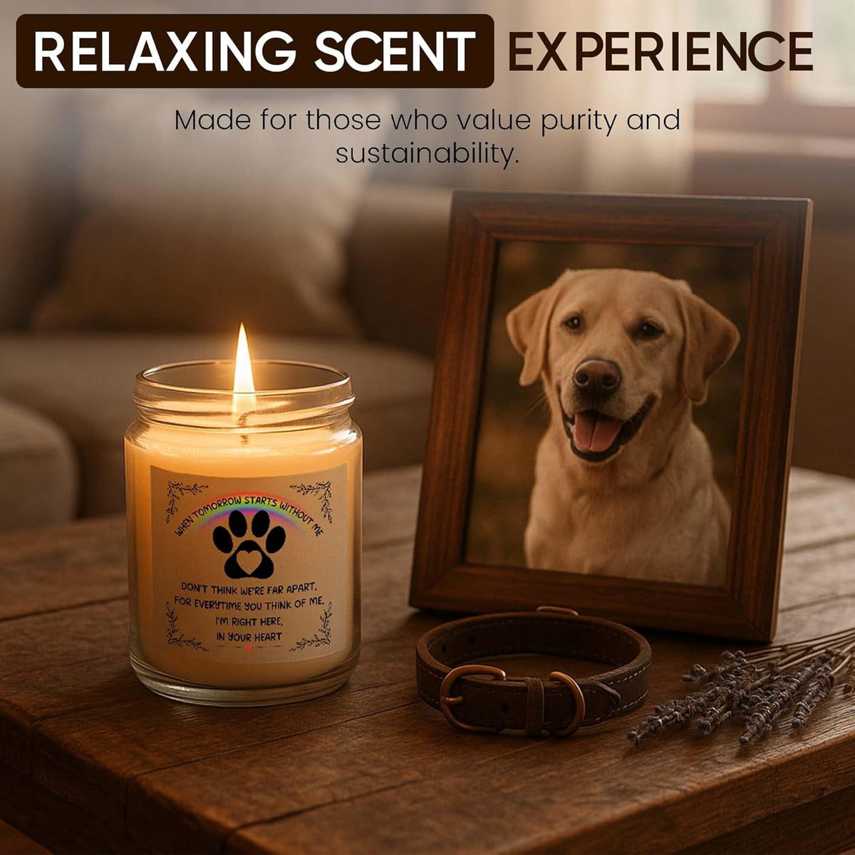 Memorial Gifts for Loss of Dog, Pet Loss Gifts, Sympathy Candle for Cats Dog Passing Away, Rainbow Bridge, Bereavement Remembrance Grief Condolence for Pet Lovers