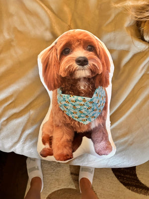 Dog Picture Pillow Custom Pet Pillow Dog Pillows Gift Custom 3D Pet Pillow from Photo | Personalized Dog/Cat Shaped Throw Pillow