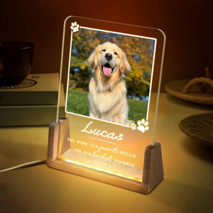 Personalized Pet Memorial LED Night Light, Custom Photo Pet Lover Keepsake, Dog Memorial Sympathy Gift, Personalized Light Up Sign for Dog Lovers, Custom Dogs Photo Gifts for Home Decor