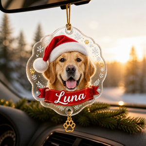 Custom Pet Photo Santa Hat Name Ornament - Personalized 1 Layered Suncatcher with Charm 7331c987-b308-4dd4-943f-29e34f3893ec.jpg