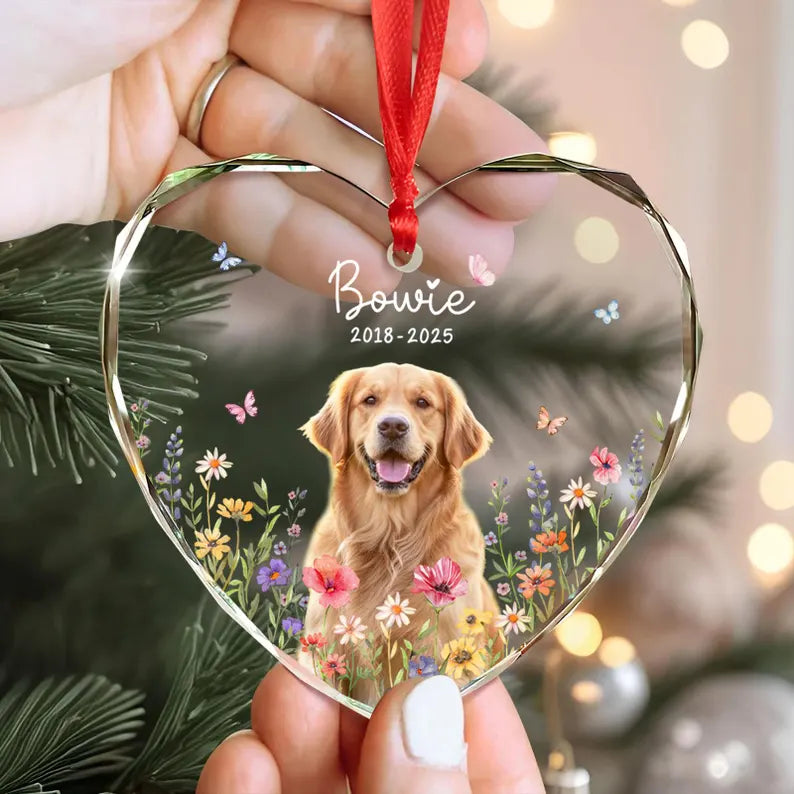 Personalized Dog Memorial Ornament with Photo, Dog Remembrance Keepsake, Glass Ornament 734f3523-79d1-4922-8d5c-15bd179c7a6e-hgghgh-7-.webp