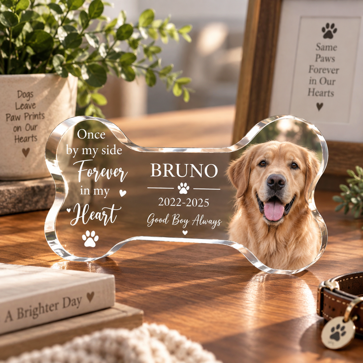 Personalized Pet Memorial Plaque, Photo Pet Memorial Gift, Pet Loss Keepsake, Pet Memorial Photo Plaque, Sympathy Gift, Acrylic Photo Block 73e10011-1809-4c3c-9d6c-78b79f6dfde9-ChatGPT-Image-Sep-16-2026-01_57_46-PM.png