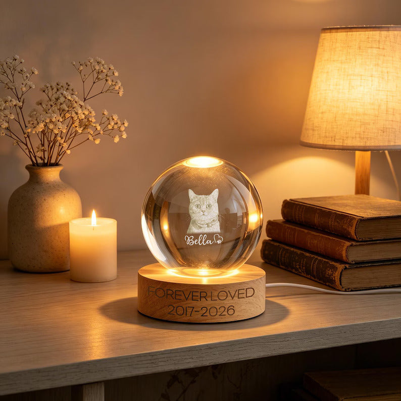 Custom Pet Memorial Night Light,Personalized Pet Portrait Crystal Ball Night Light,Photo Crystal Light,Pet Loss,Pet Memorial Gift for Dog 747c1fef-aa63-432e-badd-dd5ed9f2aaf1-fghgfhgf-3-.jpg