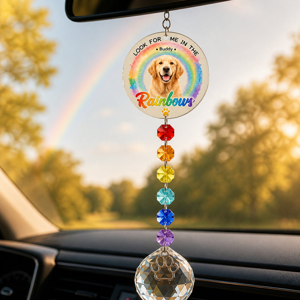 Pet Memorial Rainbow Photo Suncatcher with Paw Charm - Personalized 1 Layered Suncatcher with Charm 759e41dd-fe90-4363-accc-6088aeb4c50a.jpg
