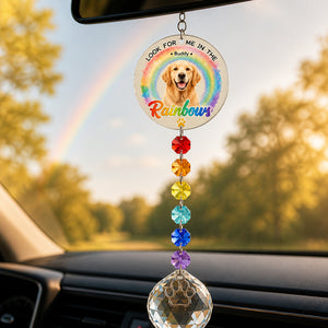 Pet Memorial Rainbow Photo Suncatcher with Paw Charm - Personalized 1 Layered Suncatcher with Charm 759e41dd-fe90-4363-accc-6088aeb4c50a.jpg