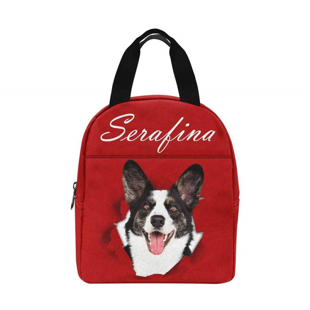 Custom Name Lunch Bags for Kids or Adults, Personalized Pet Photo Lunch Bag, Back to School Insulated Box Gift for Children, Birthday Gift