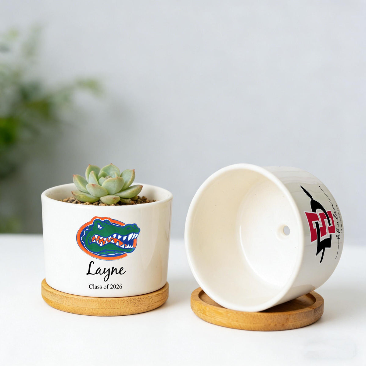 Personalized College Logo Plant Pot, University Pride Ceramic Pot, Custom 2026 Graduation Gifts, Class of 2026, College High School Grad Gifts