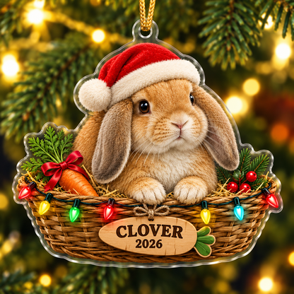 Personalized Lop Rabbit Christmas Ornament – Custom Name & Year, Bunny in Hay Basket Keepsake, Christmas Gift for Rabbit Lovers 7a741ae0-7fc4-45cd-90b5-8f20df060c87-Personalized-Lop-Rabbit-Christmas-Hay-Basket-Ornament.png