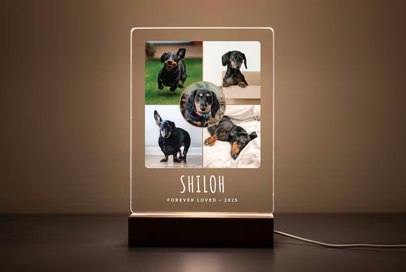 Personalized Pet Memorial LED Night Light — Custom Dog or Cat Photo Sympathy Gift 7b3090f4-8ed9-476d-9cd0-6a069b341fb8-fssfsffs-4-.jpg