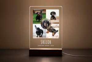 Personalized Pet Memorial LED Night Light — Custom Dog or Cat Photo Sympathy Gift 7b3090f4-8ed9-476d-9cd0-6a069b341fb8-fssfsffs-4-.jpg
