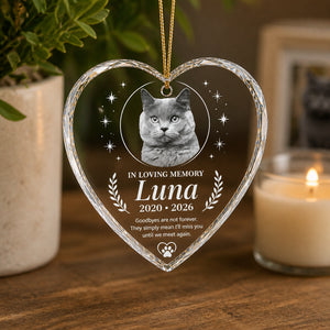 Pet Memorial Heart Acrylic Ornament – Photo, Name & Years - Personalized Transparent Acrylic Ornament 7b6fffda-aa2e-4b85-a0a3-e5edb30d5150.jpg