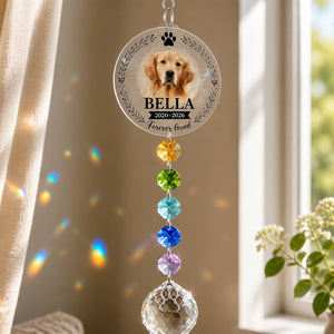 Custom Pet Memorial Suncatcher with Charm – Photo, Name & Dates - Personalized 1 Layered Suncatcher with Charm 7c4ebf8d-0cc2-4a7e-a55a-68ab71a521b5.jpg