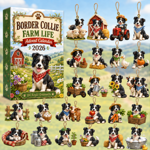 Border Collie Farm Life Advent Calendar 2026 - 24-Day Festive Countdown, Acrylic Charms Blind Box - Gift For Border Collie Lovers 7c7b9c00-b5d2-4fa6-8feb-bc3a6d866f75-border-collie-box-charms.png