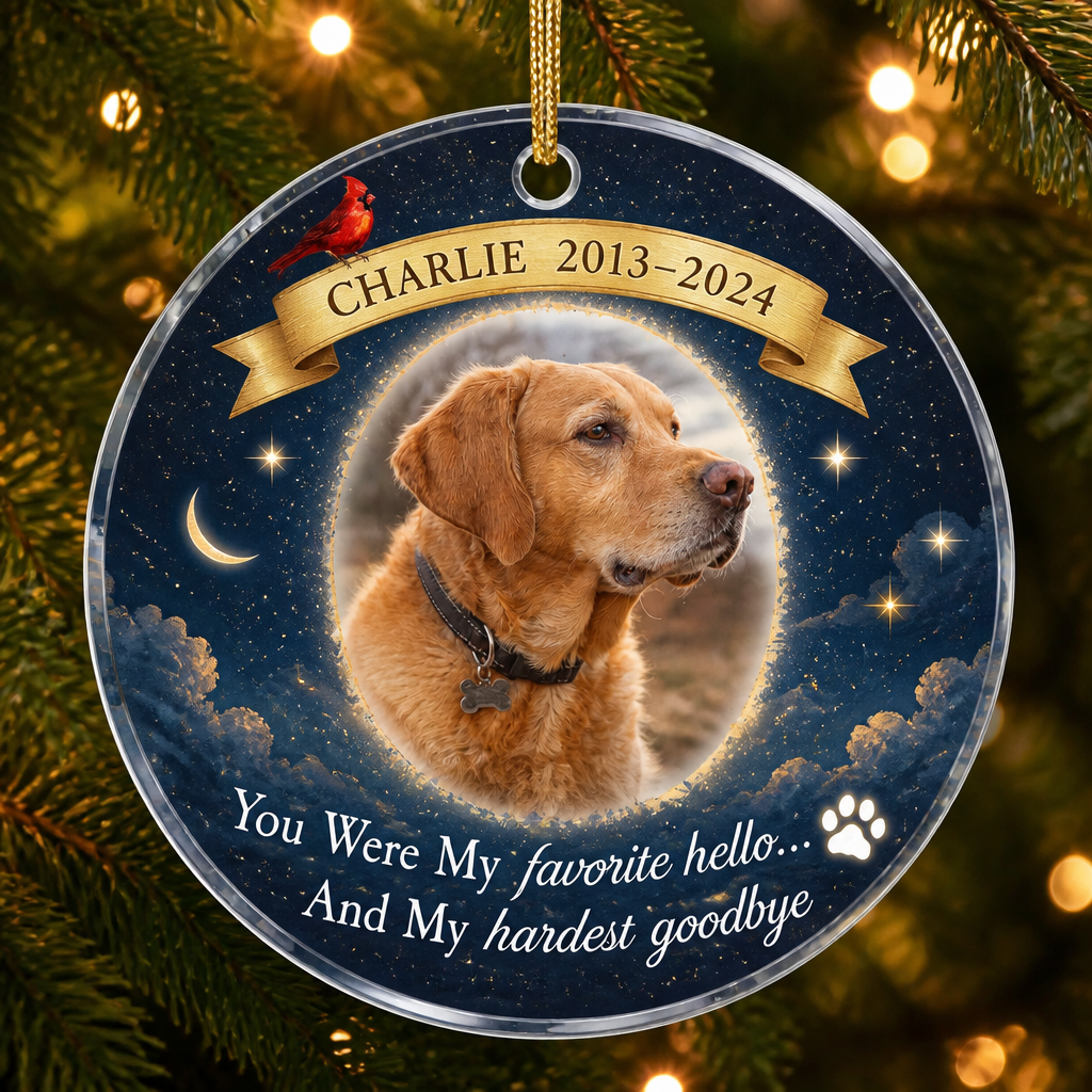 Favorite Hello Hardest Goodbye — Pet Memorial Photo Ornament - Personalized Transparent Acrylic Ornament 7e189108-b435-4e3c-894e-eecfe267ac34.png