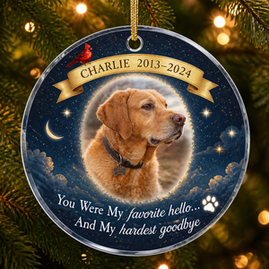 Favorite Hello Hardest Goodbye — Pet Memorial Photo Ornament - Personalized Transparent Acrylic Ornament 7e189108-b435-4e3c-894e-eecfe267ac34.png