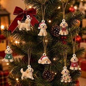 Personalized Golden Retriever Advent Calendar, 24 Acrylic Charms, Christmas Countdown Gift for Dog Lovers 7fd2417f-c886-45af-b398-80e74738eab2-il_1588xN.8496681676_l1tz.jpg