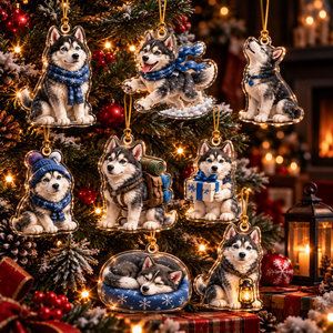 24 Days of Northern Husky- 2026 Advent Calendar Blind Box of 24 Ornaments 80568642-0432-45a9-a673-4d883783598f-t-i-xu-ng-28-.png