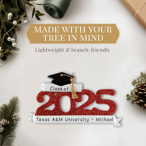 Personalized Graduation Ornament Class of 2025 Customization | High School Senior College Christmas Ornaments for Tree | Custom Gift Wrapped Grad Cap Keepsake