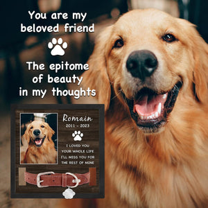 Personalized Pet Picture Frame Memorial Gifts for Loss of Dog- in Memory of Dog Passing Away Sympathy Gifts, Cat Memorial
