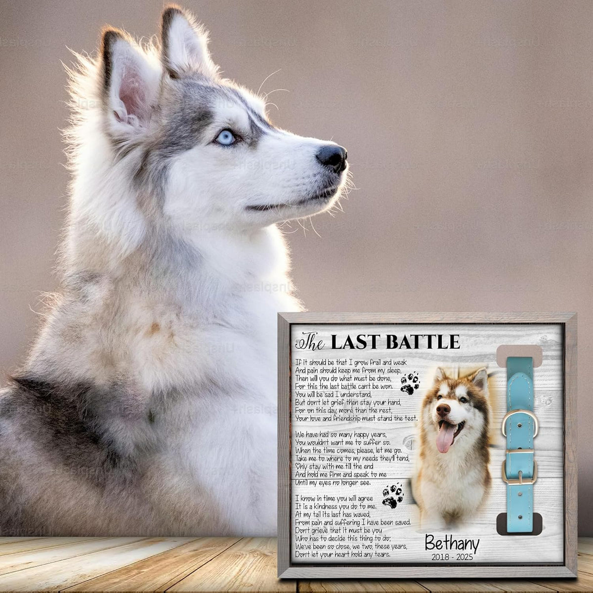 Dog Collar Shadow Box Memorial Personalized Frame for Dog That Has Passed Memory Gift with Picture Slot & Collar Display Dog Death Keepsake