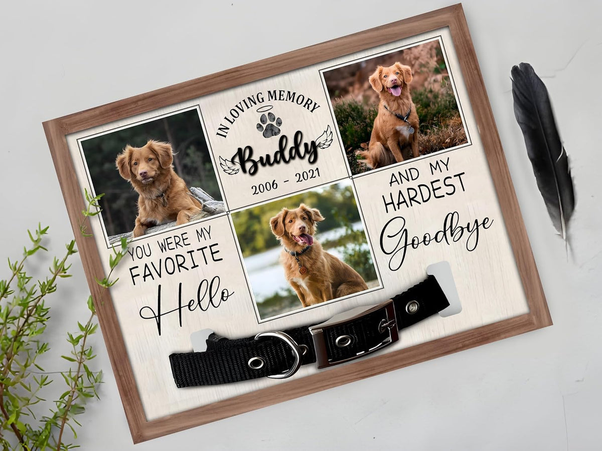 Personalized Memorial Pet Collar With Photo Plaque, Custom Memorial Frame For Loss Of Dog, Dog Loss Sympathy Gift, Pet Loss Gift