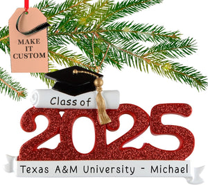 Personalized Graduation Ornament Class of 2025 Customization | High School Senior College Christmas Ornaments for Tree | Custom Gift Wrapped Grad Cap Keepsake