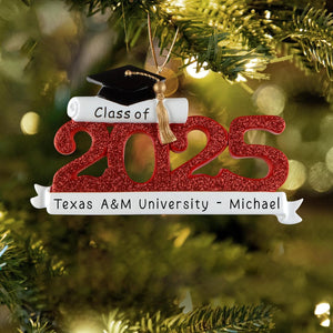 Personalized Graduation Ornament Class of 2025 Customization | High School Senior College Christmas Ornaments for Tree | Custom Gift Wrapped Grad Cap Keepsake