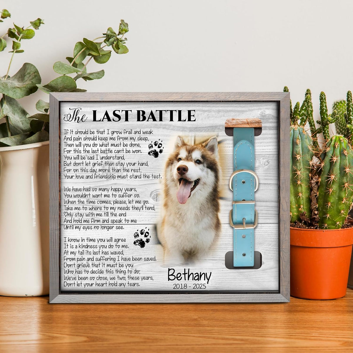 Dog Collar Shadow Box Memorial Personalized Frame for Dog That Has Passed Memory Gift with Picture Slot & Collar Display Dog Death Keepsake