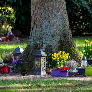 Grave Cross Markers for Cemetery Memorial Gift Memorial Stakes I Have an Angle in Heaven Sympathy Graves Stakes for Garden(Forever in Our Hearts)