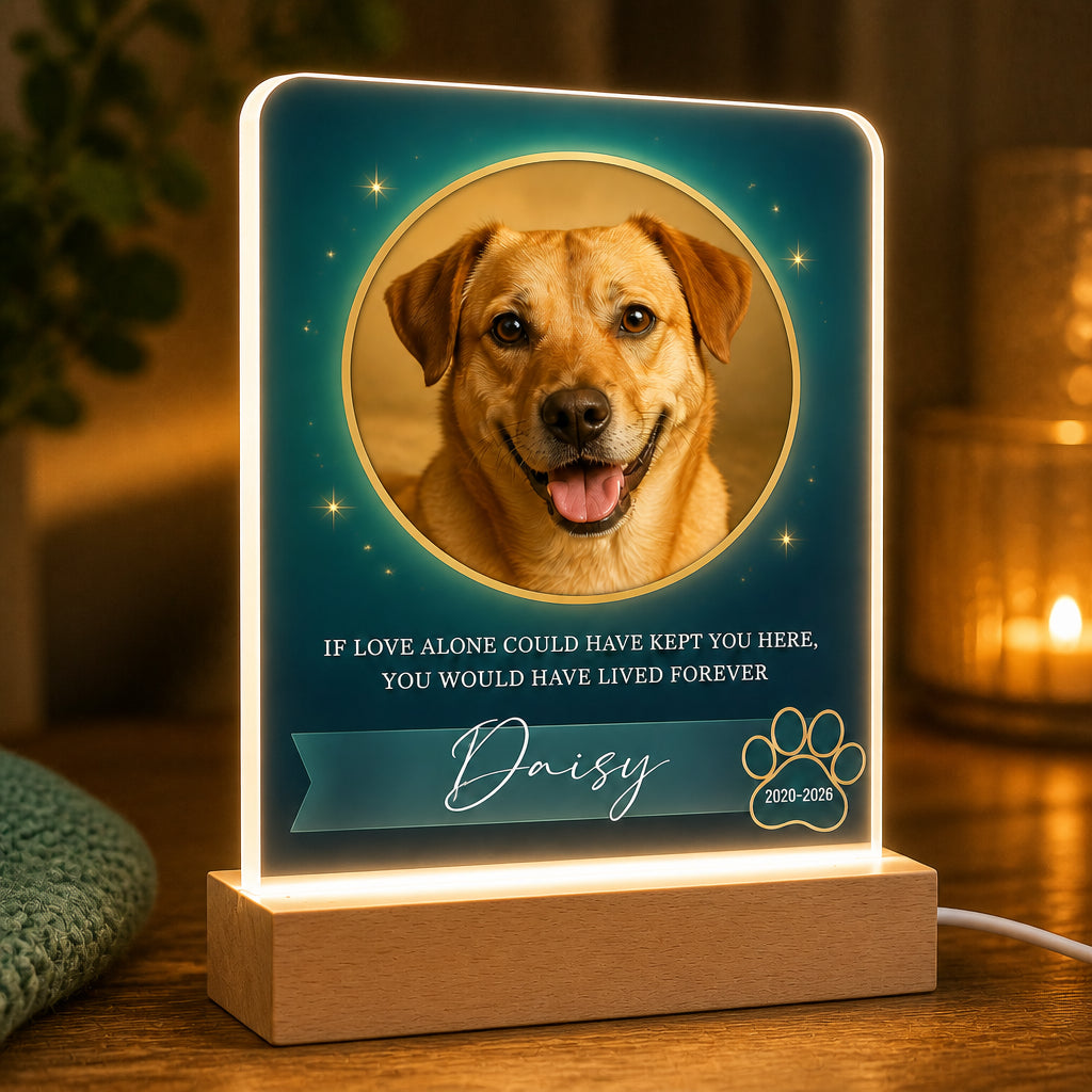 Custom Pet Memorial Photo Acrylic Night Light - Personalized Acrylic Night Light 84177559-86c0-4139-8769-9cef925a49e1.jpg