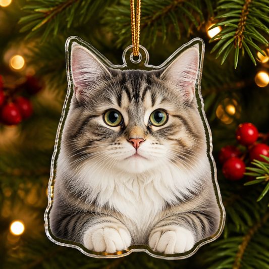 Custom Pet Photo Laser-Cut Acrylic Ornament - Personalized Laser Cut Custom Shape Ornament 85bd8b3b-8f2b-47e4-9e58-3313473379ff.png