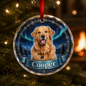 Custom Pet Photo Winter Night Acrylic Ornament - Personalized Transparent Acrylic Ornament 86dfd1a0-04d2-4274-83c4-c337ebb5598c.jpg