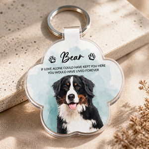 Rainbow Bridge Pet Memorial Photo Keychain - Personalized Acrylic Keychain 8860fd00-787a-4174-99ef-63a1eab04f58.jpg