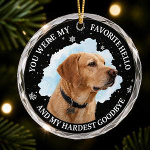 Pet Memorial Crystal Ornament – Favorite Hello, Hardest Goodbye - Personalized Crystal Ornament 892177c0-be8a-4d75-9ec4-05ed4441a364.jpg