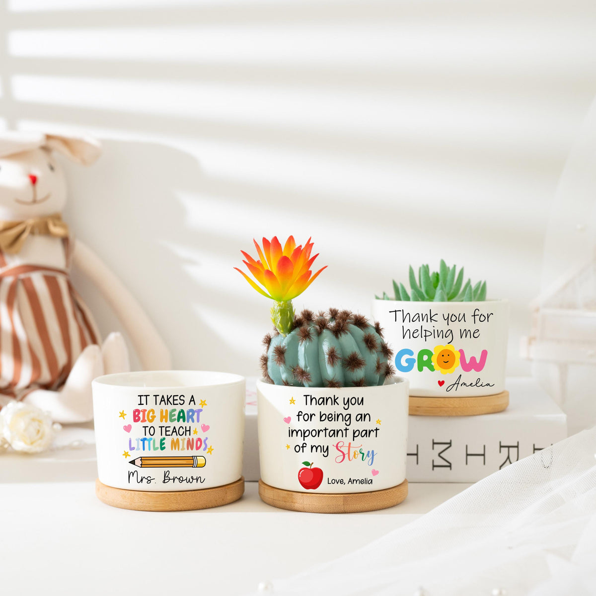 Custom Teacher Plant Pot, Teacher Appreciation Gifts, Thank You Gift For Teacher, Succulent Planter, Teacher Gift, Back to School Gift