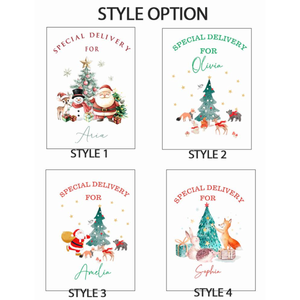 Personalised Santa Sack, Xmas Toy Sack with Name, Special Delivery Christmas Eve Sack, Christmas Present Sack, Xmas Gifts For Kids, Santa Sack