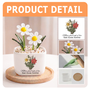 Seed Of Love - Personalized Glass Everlasting Flowers